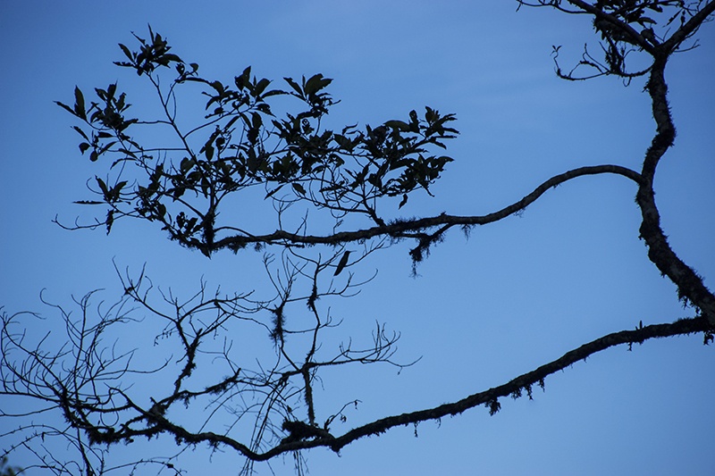 Everybody needs a little friend