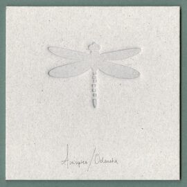 Bugs - Dragonfly (debossed)