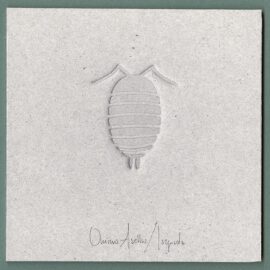 Bugs - Isopod (debossed)