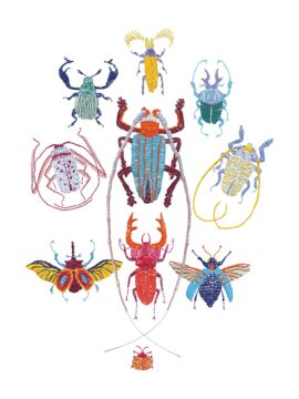 Stitches: Bugs