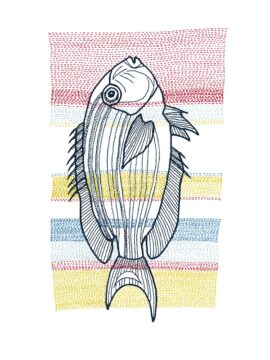 Stitches: Fish