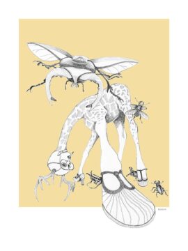 What bugs you? Weird & Wonderful: What bugs you?