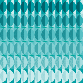 Patterns: Leaves in the moonlight