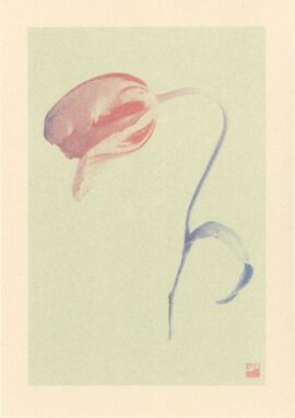 Tulp / 21 x 29,7 cm