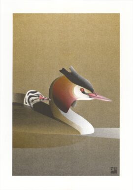 Fuut met kuiken / 21 x 29,7 cm risoprint Fuut met kuiken A4 ©VrijFormaat