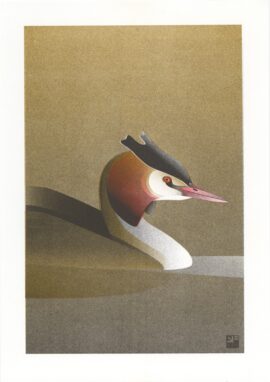 Fuut / 21 x 29,7 cm risoprint Fuut A4 ©VrijFormaat