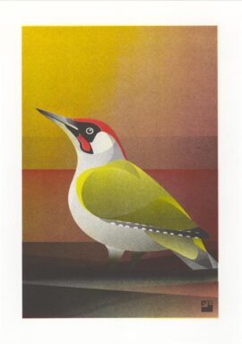 Groene specht / 21 x 29,7 cm risoprint Groene Specht A4 ©VrijFormaat