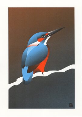 IJsvogel / 21 x 29,7 cm