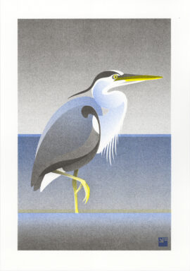 Blauwe reiger / 21 x 29,7 cm risoprint Blauwe reiger A4 ©VrijFormaat