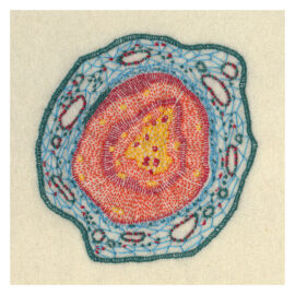 Pinus no.2 / 14,8 x 14,8 cm