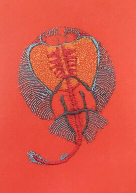 embroiderie fish