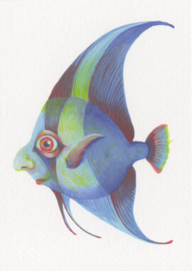 Smelly Fish / 10,5 x 14,8 cm