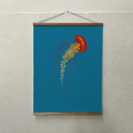 Jellyfish / 60 x 80 cm